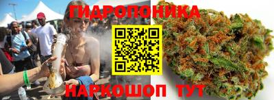 a pvp Тула
