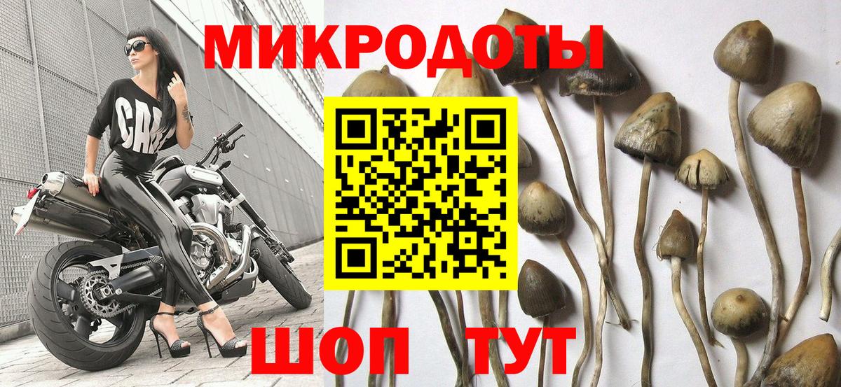 Псилоцибиновые грибы мухоморы  Вход с VPN  Донской 